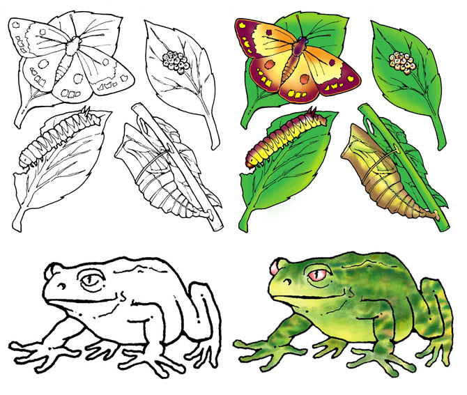 coloured edu artwork